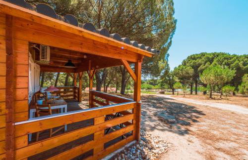 Chalet do Lago - Foto 11