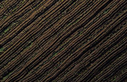 Parco Statella - Foto 18