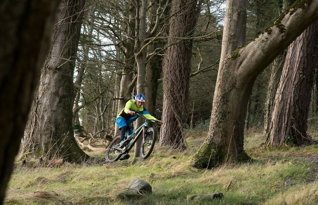 Ballyginny Cottage - Foto 12