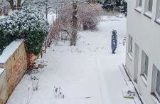 Apartment 2 in Altstadt Angermünde - Foto 27