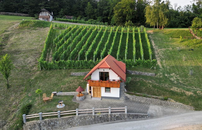 Vineyard Cottage Krivic - Photo 17