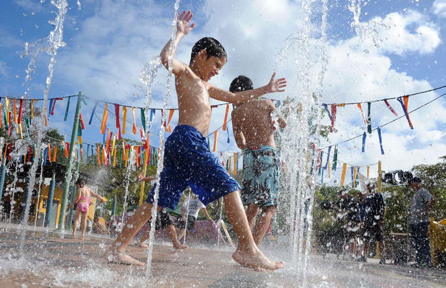 Entrada al Zoo de Miami - Foto 8