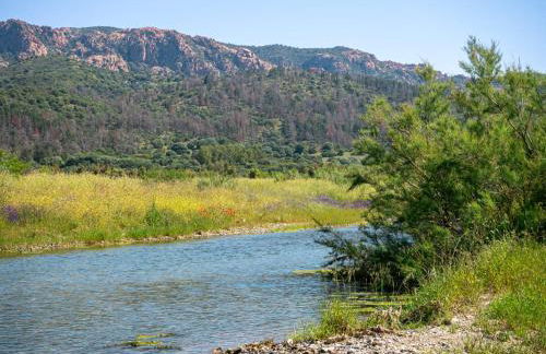 Elisabeth's House - Foto 41