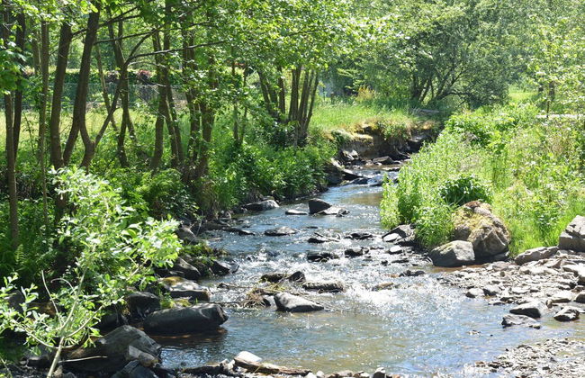 Renovated Mill in Gedinne With Garden - Foto 30