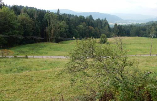 Holiday Home Vagney near Ski Gérardmer - Photo 36