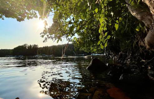 Haus 8 am Grimnitzsee mit Sauna - Photo 27