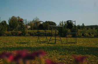 Monte de Palma- Quinta Biodinâmica Momentos Únicos - Foto 12