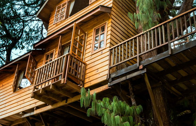 Amantikir Park Tour - Photo 1