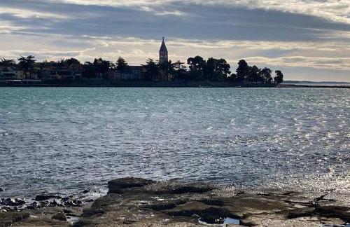 App Sorgo - Photo 65