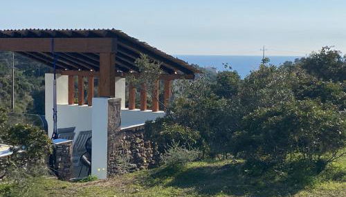 Seaview villa with private pool & gardens near Benagil Beach - Photo 3, Garden