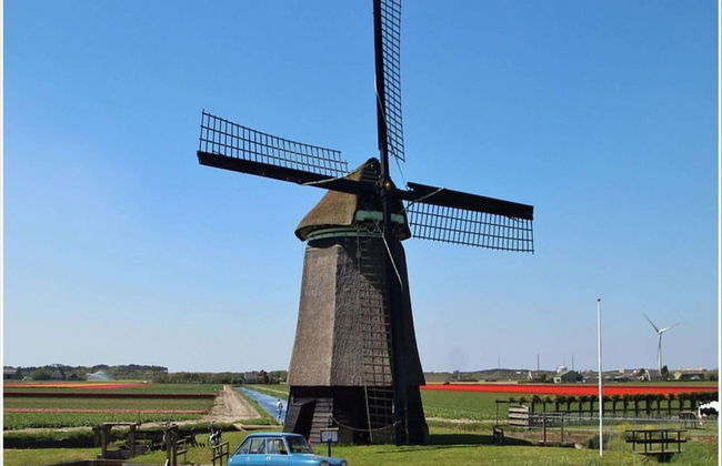 Beautiful Detached Holiday Home in Park - Foto 57