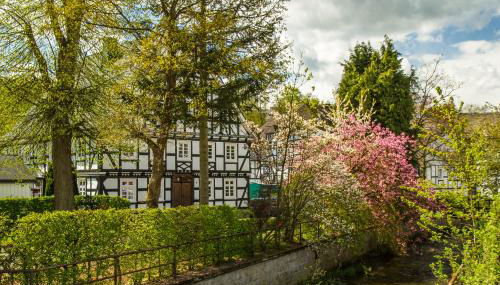 Feldmann-Schütte - Foto 2