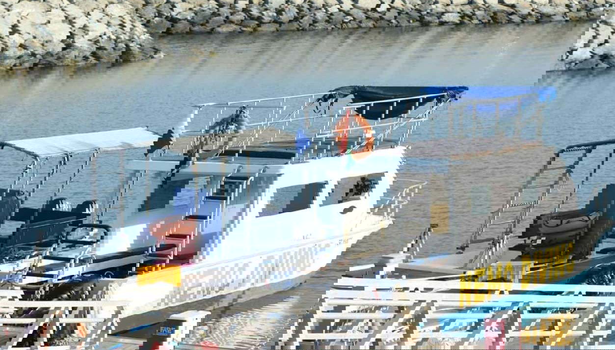 Dibba Al-Fujairah Snorkelling Tour - Foto 1