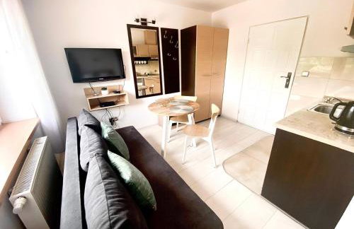 SKALNY apartamenty, pokoje - Foto 18