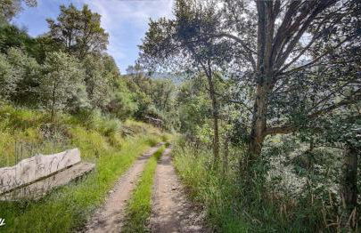 Casa Rural Chao de Castro - Foto 10