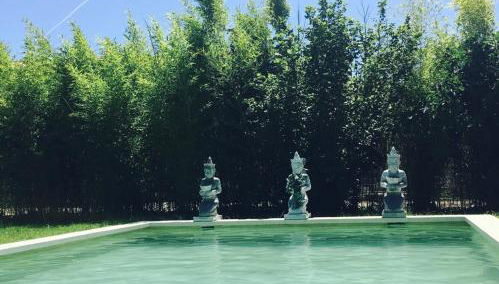 L'Islo Bamboo - Foto 3, Garden