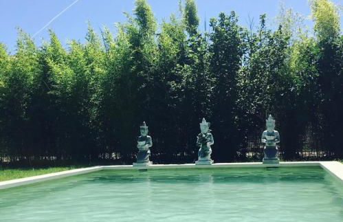 L'Islo Bamboo - Foto 3