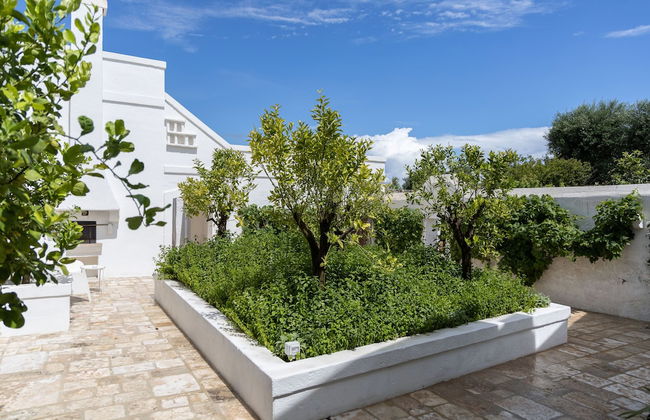 Masseria Stefanodelconte - Foto 27