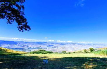 Angela's Apartment. Elegant two bedroom house in Irsina - Foto 68