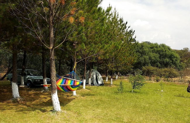 Rancho San Miguel - Foto 16