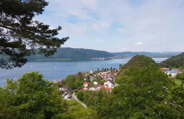 Ferienwohnung-Wald - Foto 42