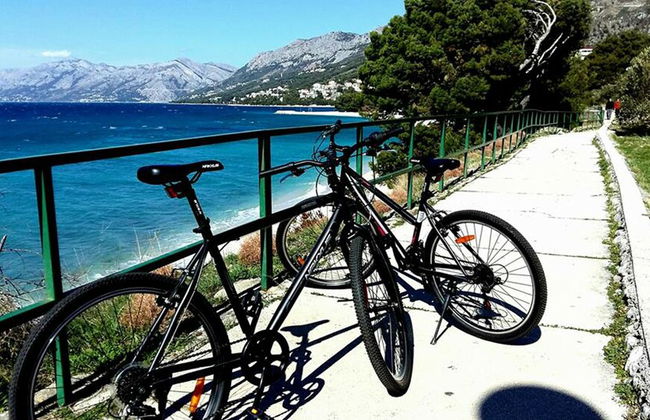 Apartments Andrijanic - Foto 45