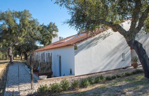 Herdade das Onzenas de Cima - Foto 15