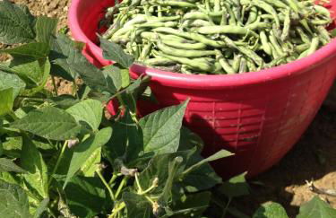 Agriturismo Alba Del Borgo - Photo 39