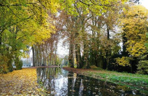 charmant studio avec terrasse - Foto 6