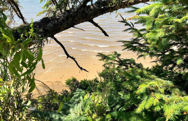 Seagate: Starboard~coos Bay~premiere Property - Foto 32