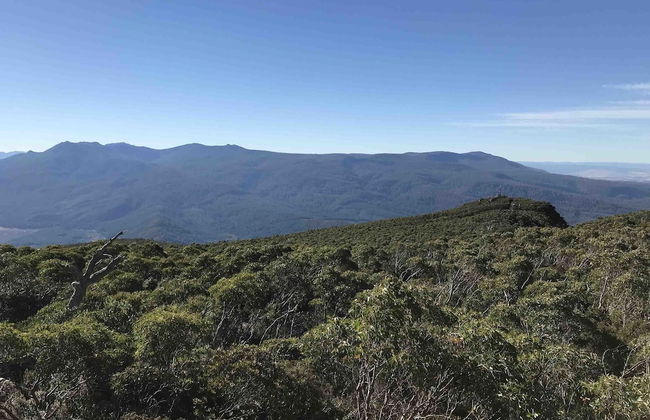 Schoolmasters Digs - Photo 38