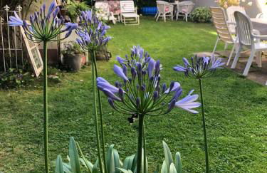 Liebevolles, altes Schulhaus im Vintage Stil - Foto 6