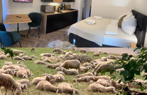 BergOase-Apart am Feldberg - Foto 71