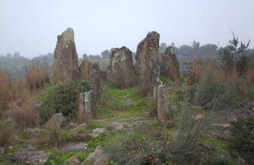 Palheirinho - Foto 28