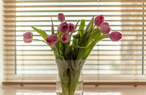 Hafan-Glan-Mor - Foto 16