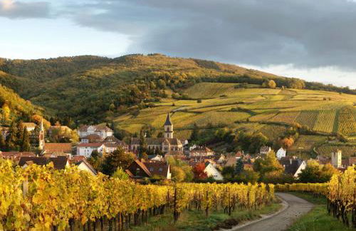 Gîte Au Coeur De Ribeauvillé - Foto 5