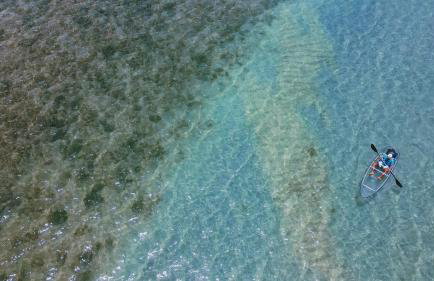 Casa Salga Patacho F003 - Rota Ecológica de São Miguel dos Milagres - Foto 46