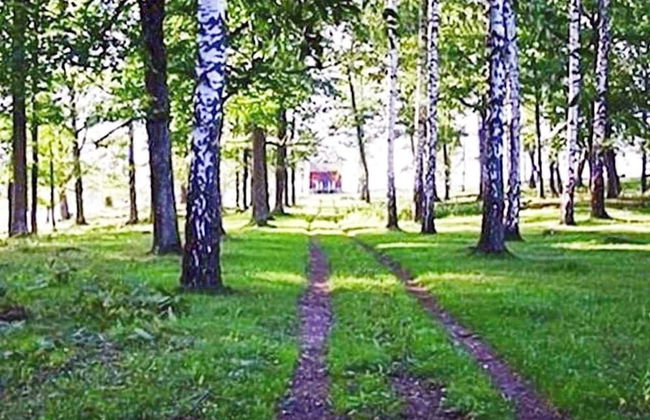 6 Person Holiday Home in Loftahammar - Photo 5