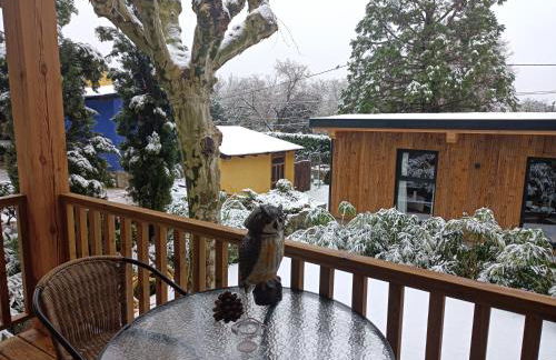 Jardín Las Secuoyas - Foto 59