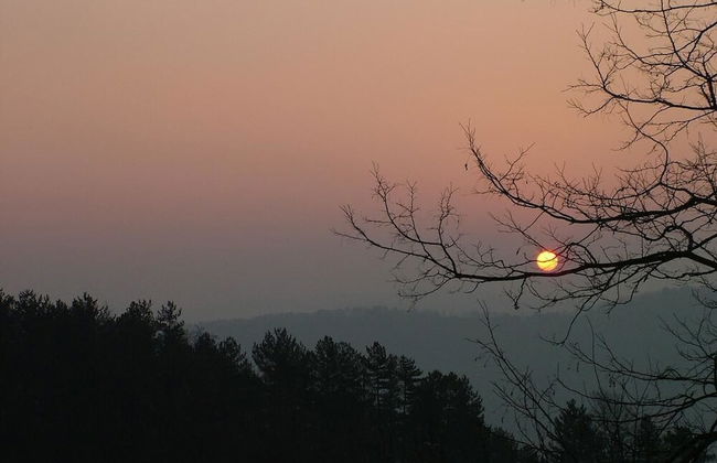 Agriturismo Selvapiana - Foto 58