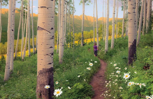 Lift House Lodge, Vail Lionshead Studio Condo, Walk to Gondola - Foto 3