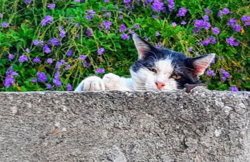 La luna nel pozzo - Foto 25