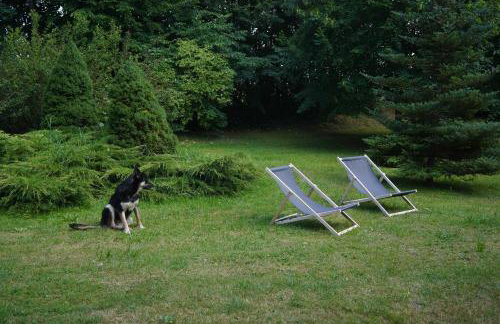 Siedlisko Otulenie - Photo 17