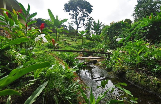 Chez Memere Holiday Apartments - Foto 19