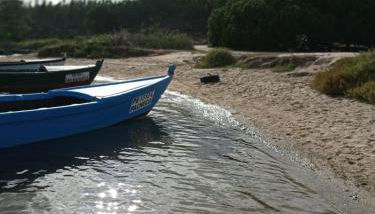 Pipo People House - Foto 2