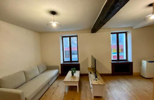 Appartement de 50m2 au centre de Cusset - Foto 1