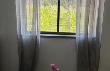 Casa Vicente - Foto 50