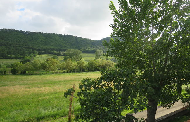 Casa Domenico n° 1 - Foto 37