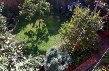 TheBackyard - Foto 26