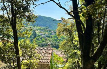 Maison charmante à Valleraugue avec piscine partagée. - Foto 21